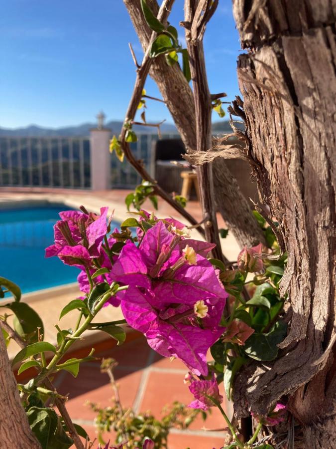 Casa La Quinta Bed and Breakfast Ríogordo Eksteriør billede